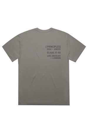 PRINCIPLE: ['ĪCON] TEE